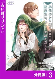 異世界から飛ばされて来た鑑定娘は、占いで生計を立てる【分冊版】３