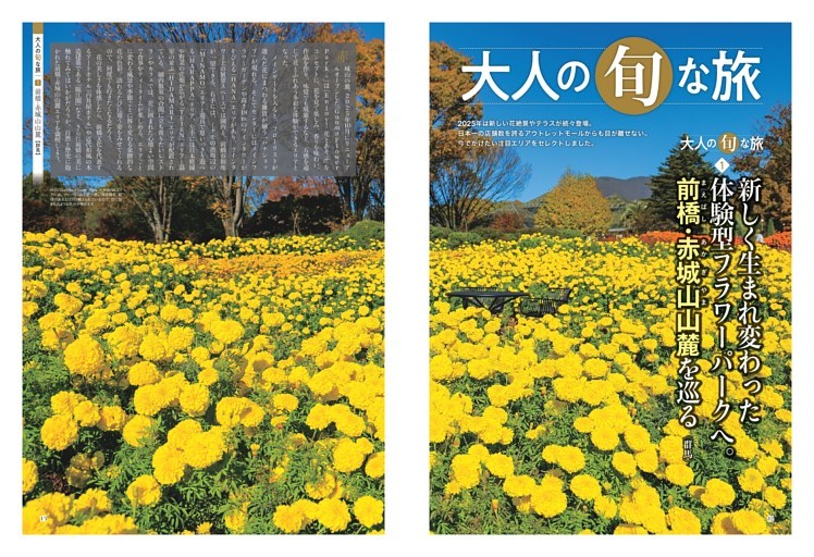 大人の旬な旅／1前橋・赤城山山麓 【群馬】