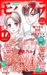 モバフラ 2025年17号