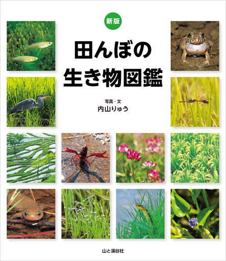 新版 田んぼの生き物図鑑
