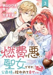 燃費が悪い聖女ですが、公爵様に拾われて幸せです！（ごはん的に♪）（コミック）【分冊版】 3