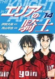 エリアの騎士（新装版）　14