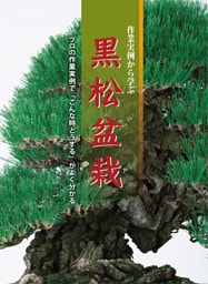 作業実例から学ぶ　黒松盆栽
