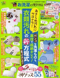 晋遊舎ムック お洗濯の便利帖