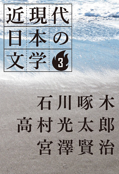 ３ 石川啄木 高村光太郎 宮澤賢治