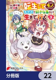 転生してあらゆるモノに好かれながら異世界で好きな事をして生きて行く【分冊版】　22