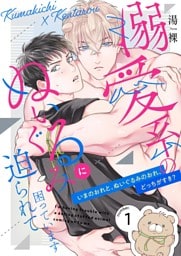 溺愛系のぬいぐるみに迫られて困っています【描き下ろしおまけ付き特装版】