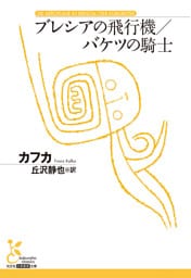 ブレシアの飛行機／バケツの騎士