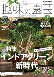 NHK 趣味の園芸 2026年7月号