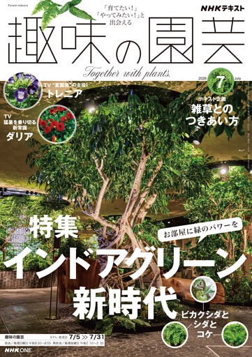 NHK 趣味の園芸 2026年7月号