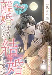 推し似の副社長と離婚するつもりで結婚します〜塩対応から始まる溺愛婚〜（６）
