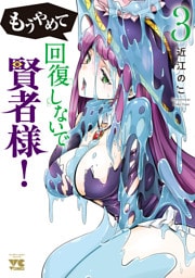 もうやめて回復しないで賢者様！【秋田書店版】　3
