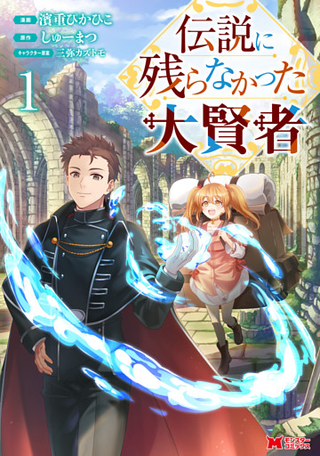 伝説に残らなかった大賢者（コミック）