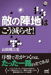 敵の陣地はこう減らせ！