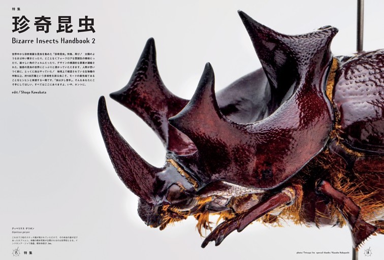 特集 珍奇昆虫 Bizarre Insects Handbook 2 (BRUTUS) | dマガジン