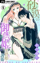 砂漠の御供姫～生贄姫と護衛～【マイクロ】（５）