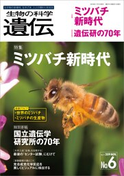 生物の科学 遺伝 2019年11月発行号 Vol.73 No.6