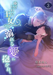 捧げられた王女は溺れる愛に抱かれ 3