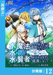 水魔法なんて使えないと追放されたけど、水が万能だと気がつき水の賢者と呼ばれるまでに成長しました～今更水不足と泣きついても簡単には譲れません～【分冊版】１２