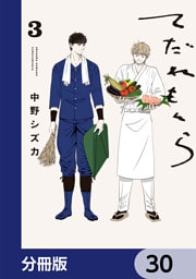 てだれもんら【分冊版】　30