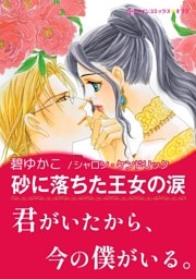 砂に落ちた王女の涙【あとがき付き】