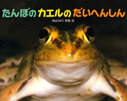 たんぼのカエルのだいへんしん