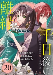 千日後に離縁します～灰被りの聖女は恋をまだ知らない～（20）