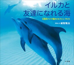 イルカと友達になれる海　～大西洋バハマ国のドルフィン・サイト～（小学館の図鑑NEOの科学絵本）