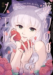 夢幻のノエル１