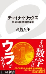 チャイナ・トリックス　経済大国中国の深層