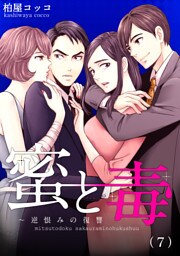 蜜と毒～逆恨みの復讐(7)
