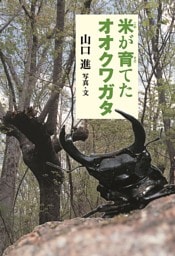 米が育てたオオクワガタ
