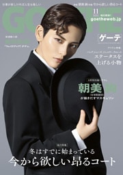 GOETHE[ゲーテ] 2026年11月号