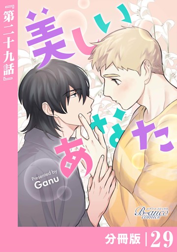 美しいあなた【分冊版】29（ビアンココミックス）