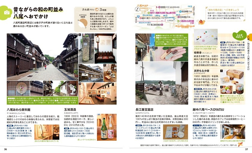 和の町並み・八尾へおでかけ