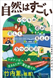 自然はすごい いつもの道が美しく見える5つの視点