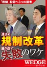 進まぬ規制改革　繰り返す失敗のワケ