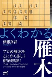 よくわかる雁木