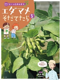 やさいをそだててじーっとかんさつ エダマメをそだてたら