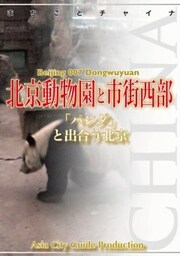 北京007西単と市街西部　～「パンダ」と出合う北京