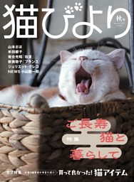cover.jpg?ivm=true