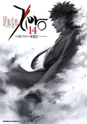 Fate/Zero(14)