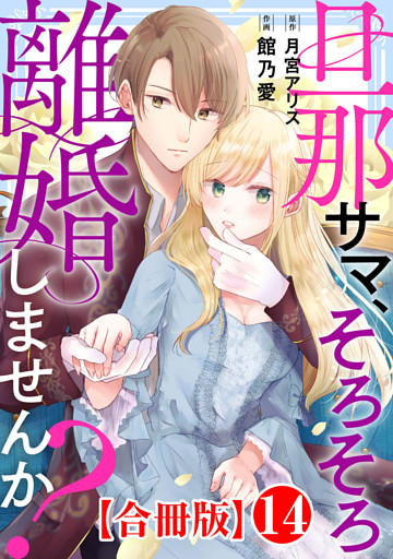 旦那サマ、そろそろ離婚しませんか？【合冊版】14