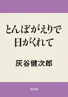 とんぼがえりで日がくれて