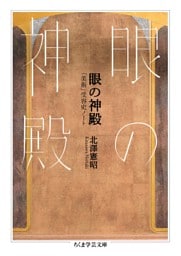 眼の神殿　――「美術」受容史ノート