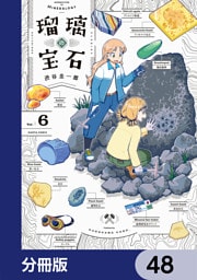 瑠璃の宝石【分冊版】　48