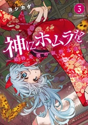 神にホムラを　―最終定理の証明方法―（３）