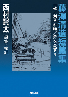 藤澤清造短篇集　一夜／刈入れ時／母を殺す　他