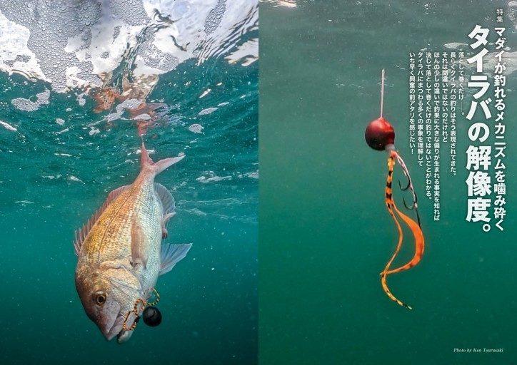 【特集】マダイが釣れるメカニズムを噛み砕く タイラバの解像度。
