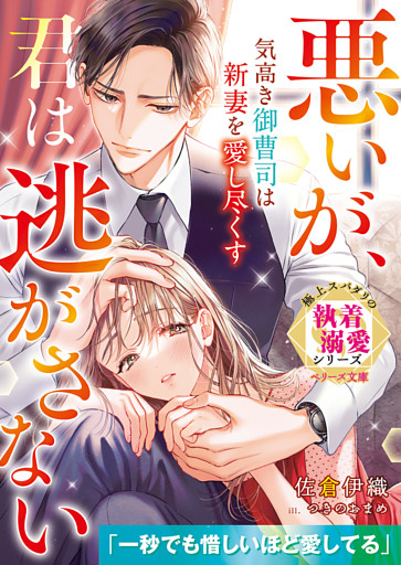 気高き御曹司は新妻を愛し尽くす～悪いが、君は逃がさない～【極上スパダリの執着溺愛シリーズ】【電子限定SS付き】